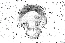 medusas Bosib Chiqarish Uchun Bo'yash Sahifalari